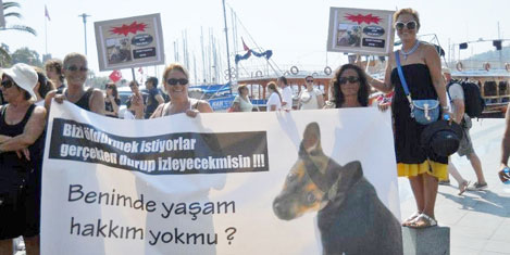 bodrum-hayvan-haklari-protesto-2.20121001234534.jpg bodrum-hayvan-haklari-protesto-2.20121001234534.jpg