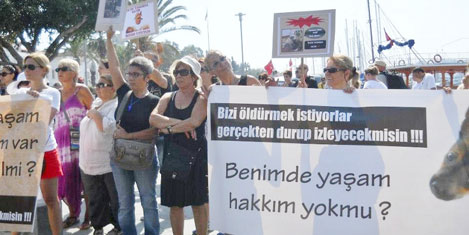 bodrum-hayvan-haklari-protesto-4.jpg bodrum-hayvan-haklari-protesto-4.jpg