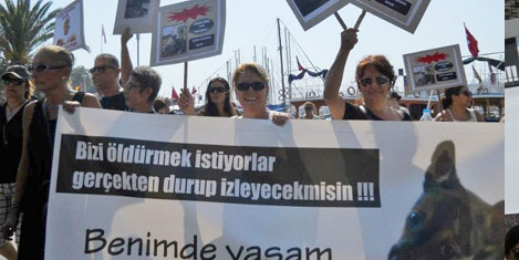 bodrum-hayvan-haklari-protesto-7.jpg bodrum-hayvan-haklari-protesto-7.jpg