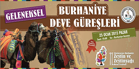 burhaniye-deve-3.jpg
