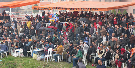 burhaniye-deve-9.jpg
