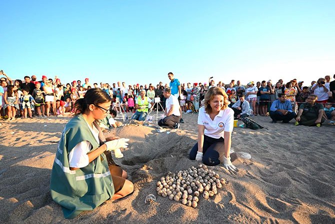 caretta-caretta,-cirali.jpg