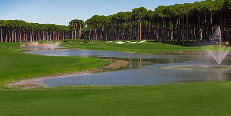 carya-golf-4.jpg