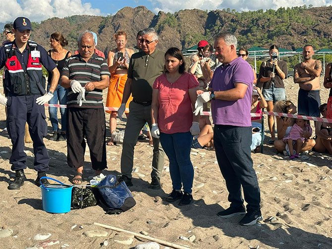 cirali.-caretta-caretta.jpg