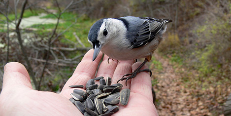 daday-fotograf-2.jpg daday-fotograf-2.jpg