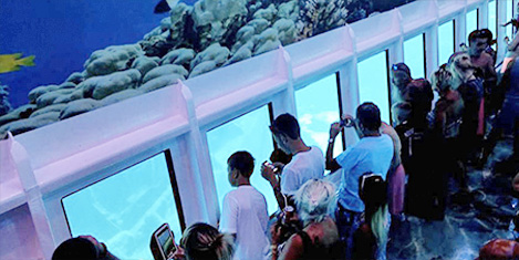 denizalti-safari13.jpg
