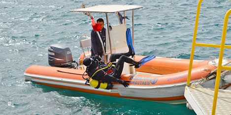 dmaren8.20150429141312.jpg
