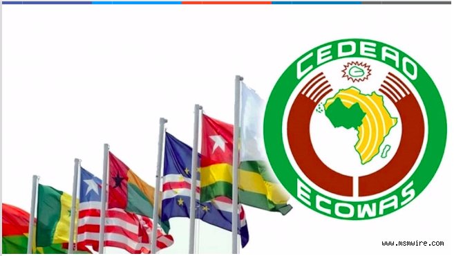 ECOWAS üyesi ülkeler ortak para birimine gidiyor