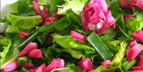 elite-world_osmanli2.jpg elite-world_osmanli2.jpg