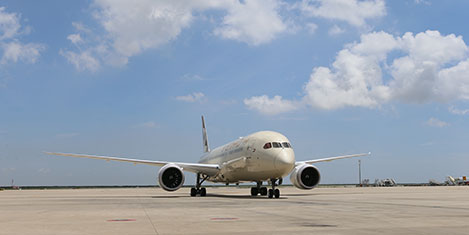 etihad-dreamliner-1.jpg