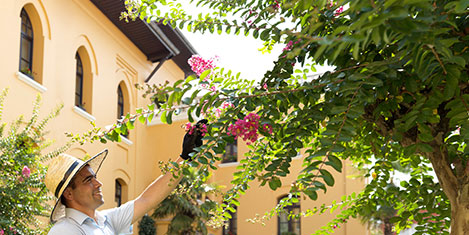 four-seasons-sulanahmet1.jpg four-seasons-sulanahmet1.jpg