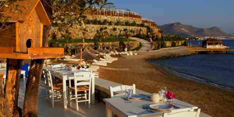 gardens-of-babylon-3.jpg gardens-of-babylon-3.jpg