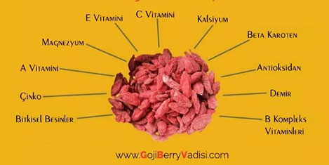 goji-berry-1.jpg