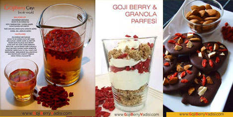 goji-berry-2.jpg