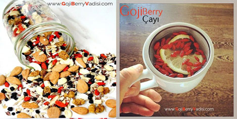 goji-berry-5.jpg