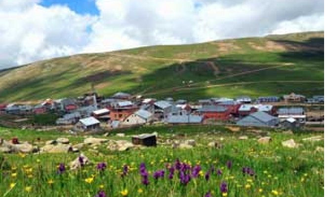 gumushane-yayla-002.jpg