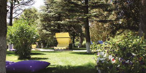 gural_harlek_genel3.jpg gural_harlek_genel3.jpg