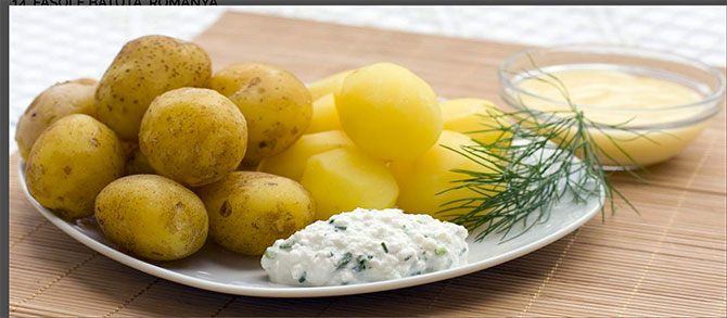 gzik,-polonya.jpg