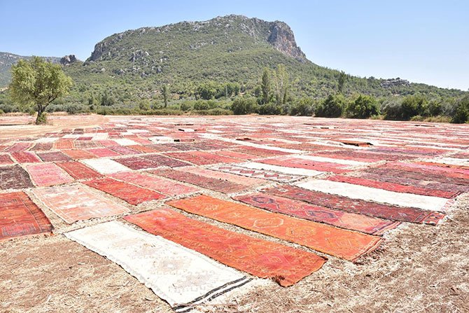 hali,-kilimin.jpg
