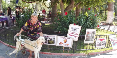 hayvanlari-koruma-2.jpg hayvanlari-koruma-2.jpg