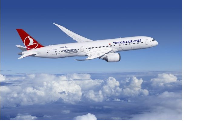 iata,-kerem-kiziltunc,-001.png