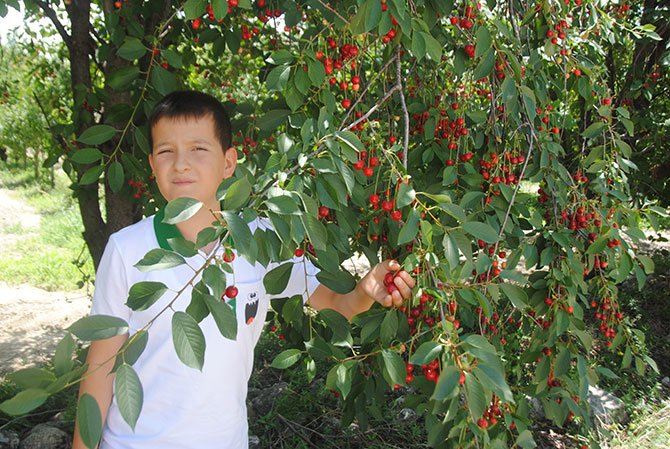 imrahor-mahallesi,-001.jpg