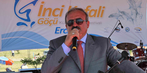 inci-kefali-17.jpg