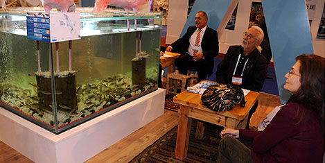 inci-kefali-emitt-4.jpg inci-kefali-emitt-4.jpg