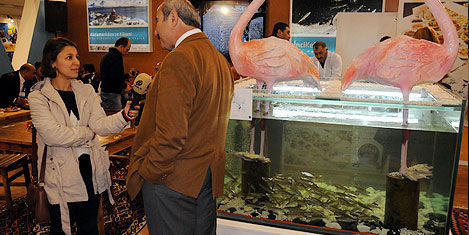 inci-kefali-emitt-7.jpg inci-kefali-emitt-7.jpg