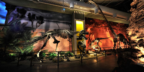 jurassic-land-forum-avm-2.jpg