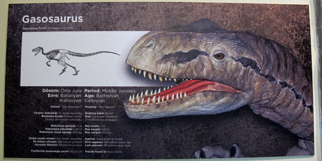 jurassic-land-istanbul-2.jpg jurassic-land-istanbul-2.jpg