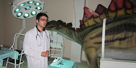 jurassic-land-istanbul-24.jpg jurassic-land-istanbul-24.jpg