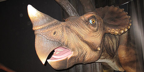 jurassic-land-istanbul-25.jpg jurassic-land-istanbul-25.jpg