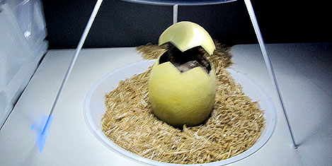 jurassic-land-istanbul-29.jpg jurassic-land-istanbul-29.jpg