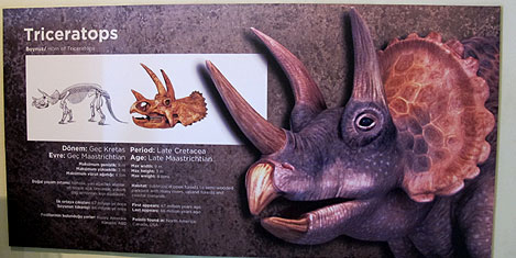 jurassic-land-istanbul-3.jpg jurassic-land-istanbul-3.jpg