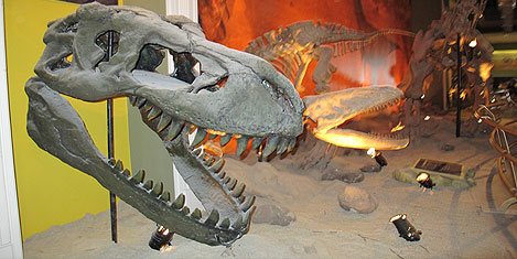 jurassic-land-istanbul-39.jpg jurassic-land-istanbul-39.jpg
