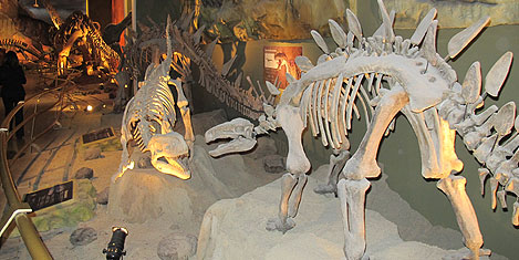 jurassic-land-istanbul-40.jpg jurassic-land-istanbul-40.jpg