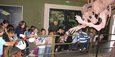 jurassic-land-istanbul-41.jpg jurassic-land-istanbul-41.jpg