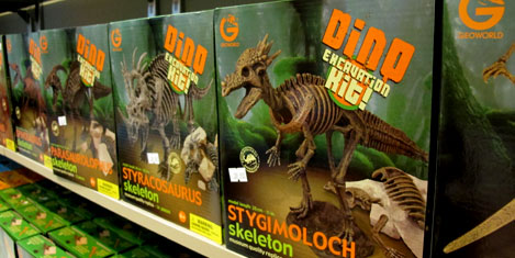 jurassic-land-istanbul-9.jpg jurassic-land-istanbul-9.jpg