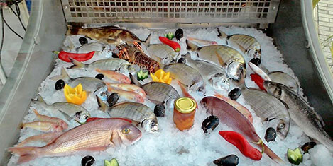 kalymnos-6.jpg kalymnos-6.jpg