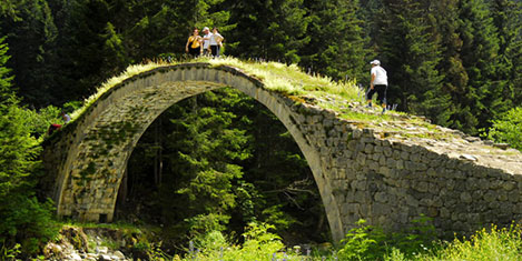 kavron-ayder.jpg kavron-ayder.jpg