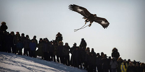 kazak-kartal-avci-2c.jpg