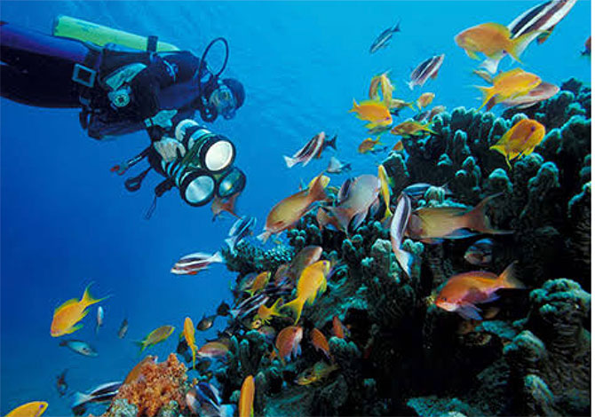 kizildeniz,-aqaba-marine-reserve..jpg