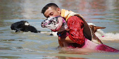 koyun-gecirme-yarismasi-1.20120824044610.jpg koyun-gecirme-yarismasi-1.20120824044610.jpg