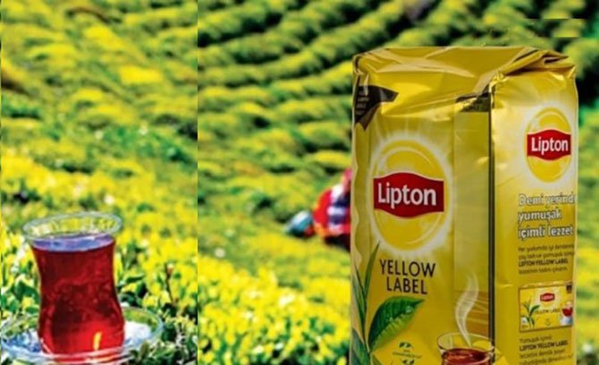 lipton.jpg