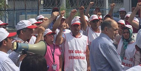 lsg-grevi-1.jpg lsg-grevi-1.jpg