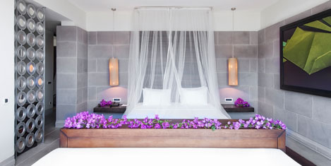 maki-2a.jpg maki-2a.jpg