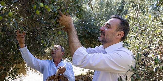 manavgat,-zeytin-002.jpg