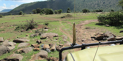 masai-mara-tas-yol1.jpg