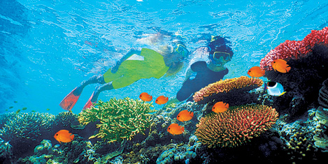 mauritius1.20140117234516.jpg